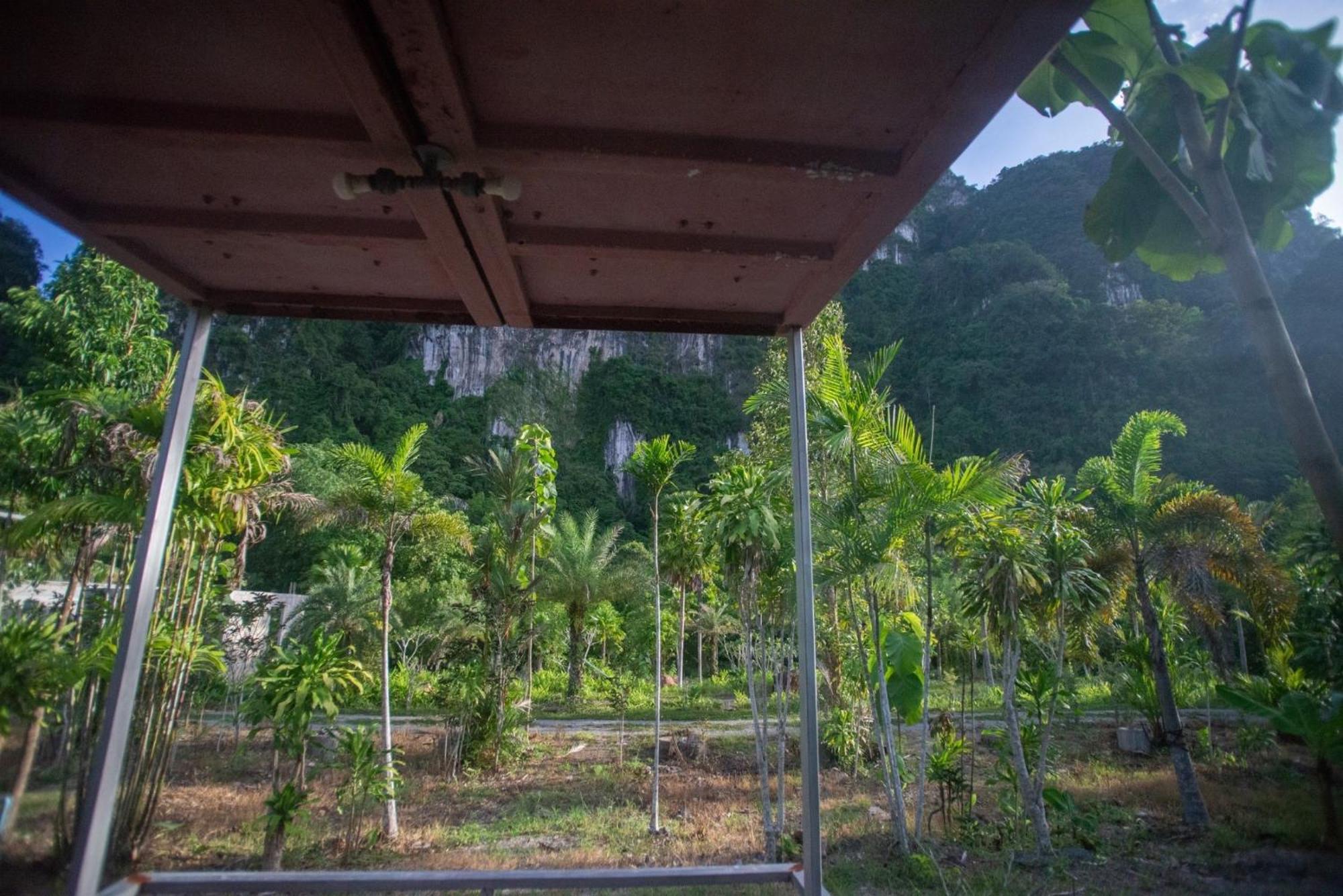 The Camper Lodge Khao Sok Ban Bang Bon Ngoại thất bức ảnh